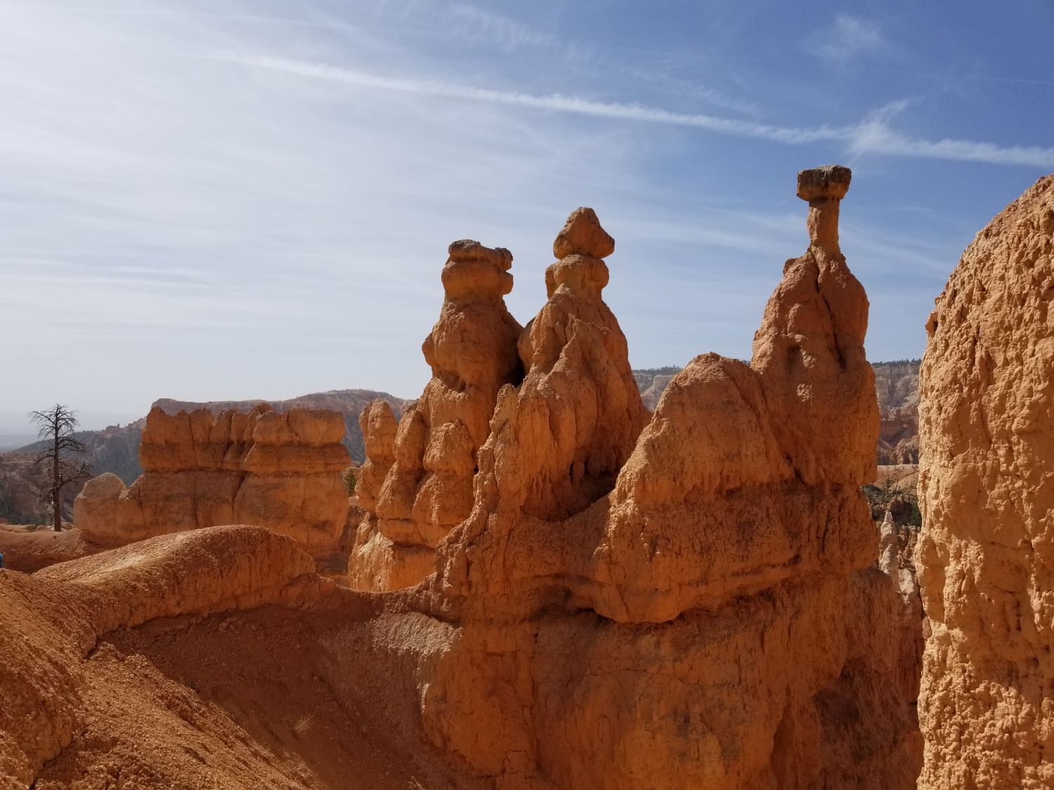 Queens/Navajo 